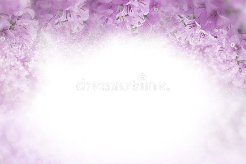 Purple flower Bougainvillea frame on soft pink background valentine and wedding card concept