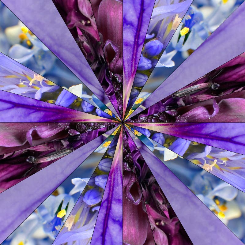 Purple Flower Center Collage Geometric Pattern stock photo Purple Flower Center Collage Geometric Pattern stock photo
