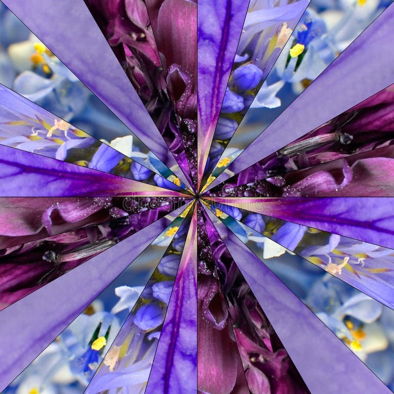 Purple Flower Center Collage Geometric Pattern