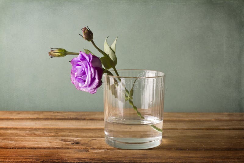 Purple Flower in Glass of Water Stock Image Image of background
