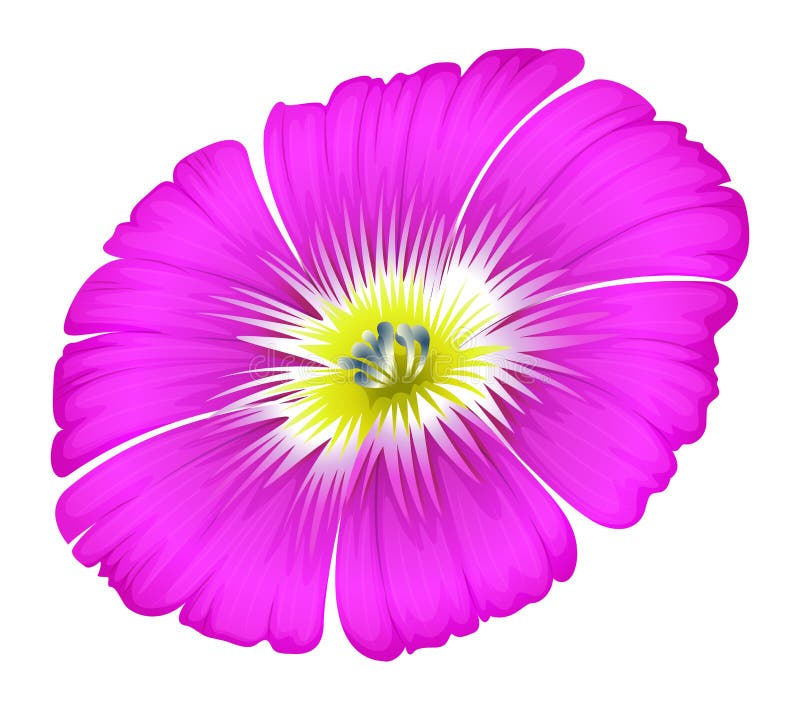 A purple flower stock vector. Illustration of fresh, drawing - 38652892