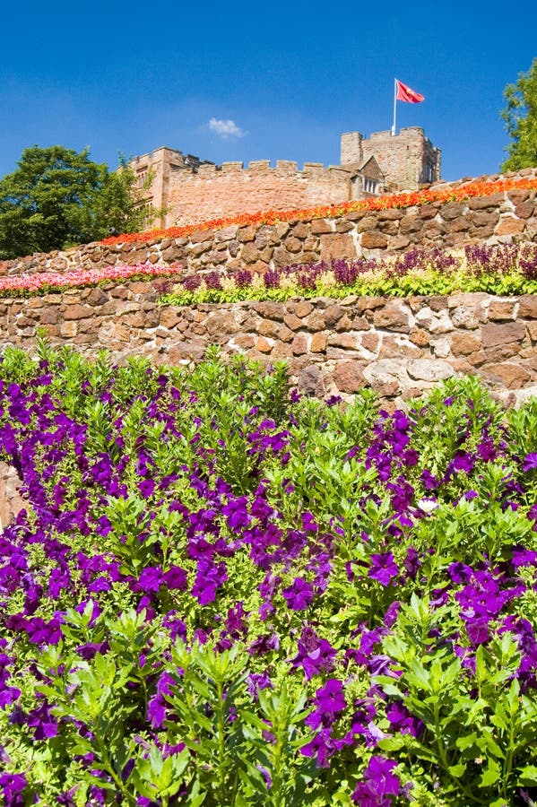 Purple flowers and castle