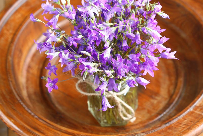 Small Purple Flowers Bouquet Stock Photo Image of blossom, bright