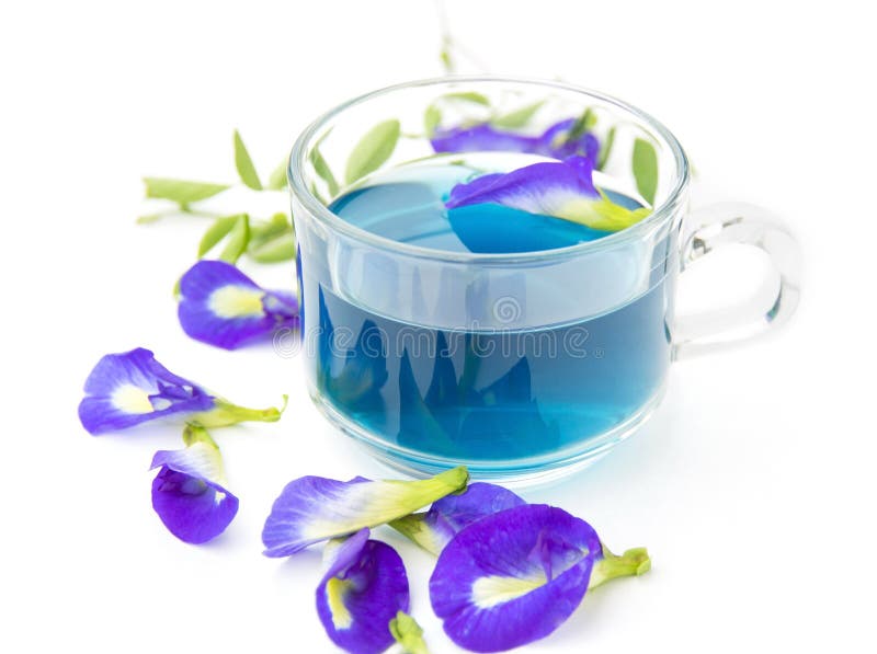 Purple flowers tea stock image. Image of health, flavour 30632573