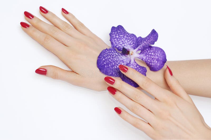 Purple för manicureorchidpink