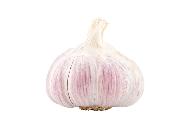 Purple Garlic