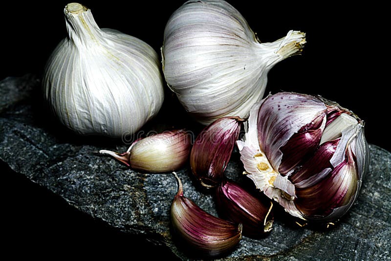 .Purple garlic head stock photo. Image of black, head 164489114