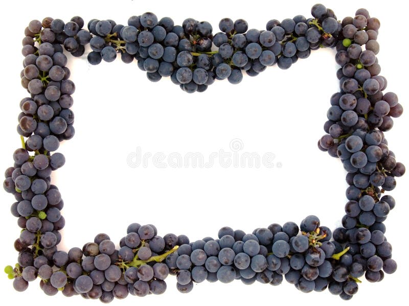 Purple grape frame