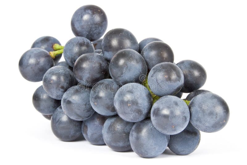 Purple Grapes Isolated on White