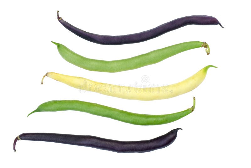 Purple, green and yellow Wax Snap Beans on the white background