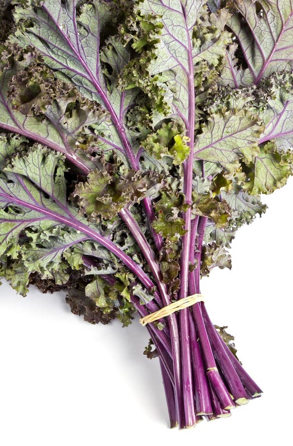 Purple Kale