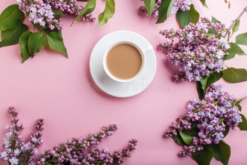 Purple lilac flowers and a cup of coffee on pastel pink background