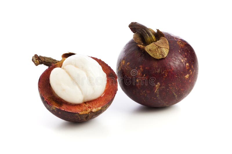 Purple Mangosteen Tropical Fruit Stock Image Image of food, fruit