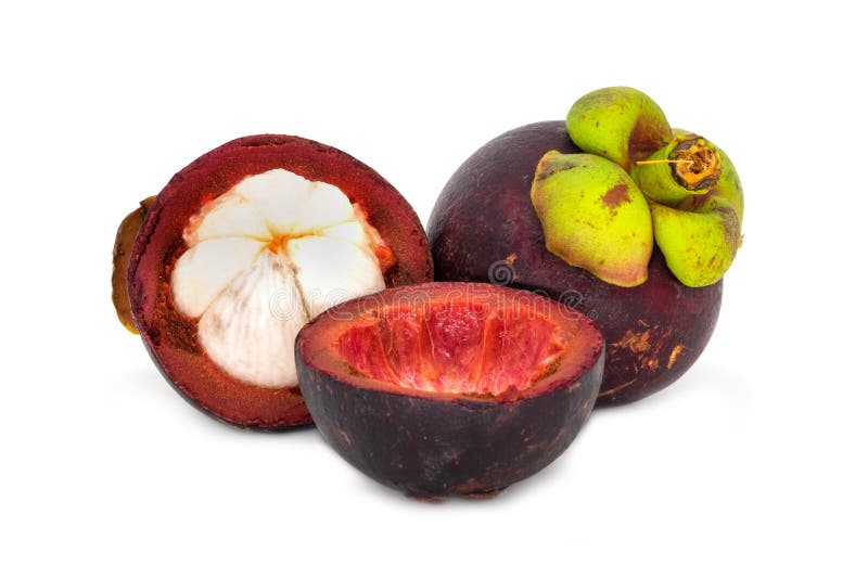 Purple Mangosteen Fruit stock photo. Image of organic 154431114