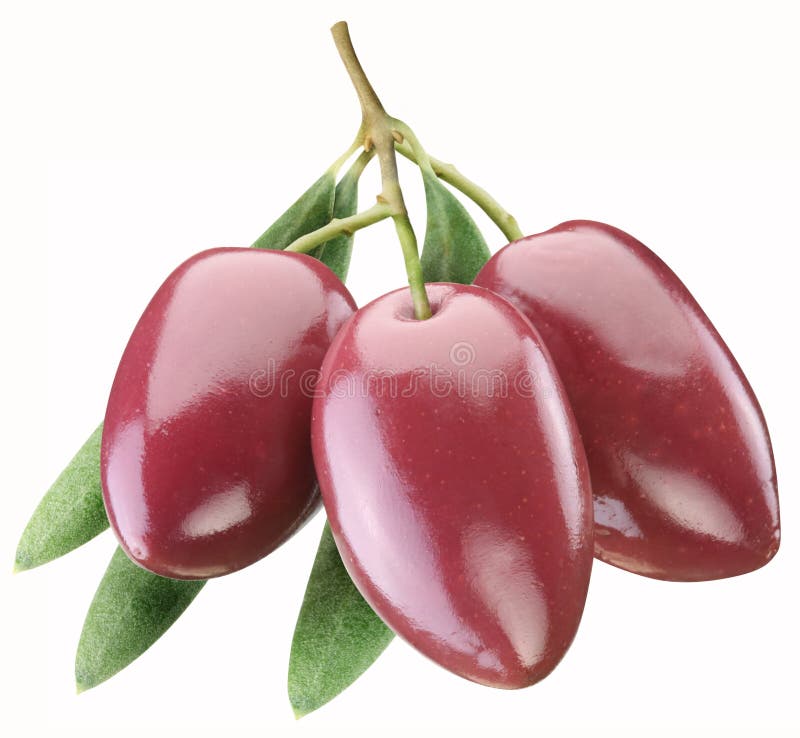 Purple Olives in Oil with Leaves Stock Image Image of healthy, three