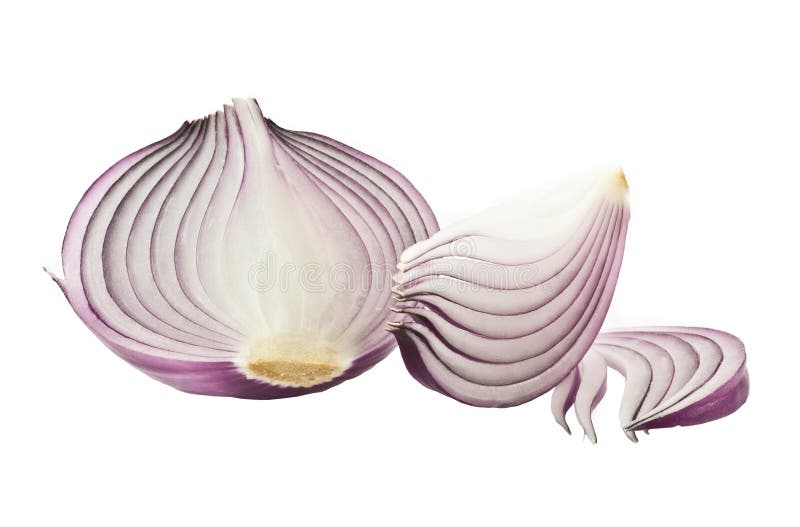 Purple onion bulb stock image. Image of plant, food, peel 13400587