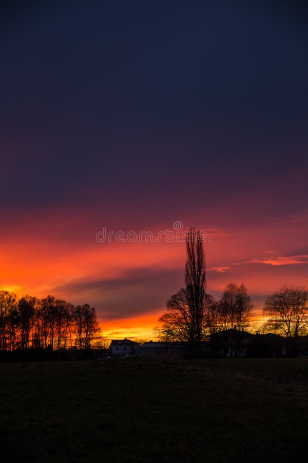 Premium Photo  Amazing sunset in the field with alone standing heart tree