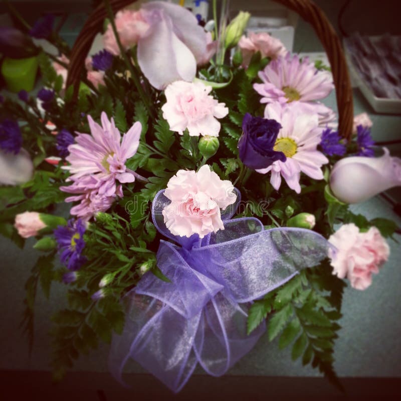 Purple pink flowers stock photo. Image of ribbon, purple 53281024