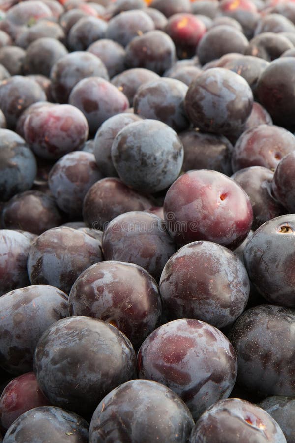 Purple Plums stock image. Image of dirty, market, nature 15465889
