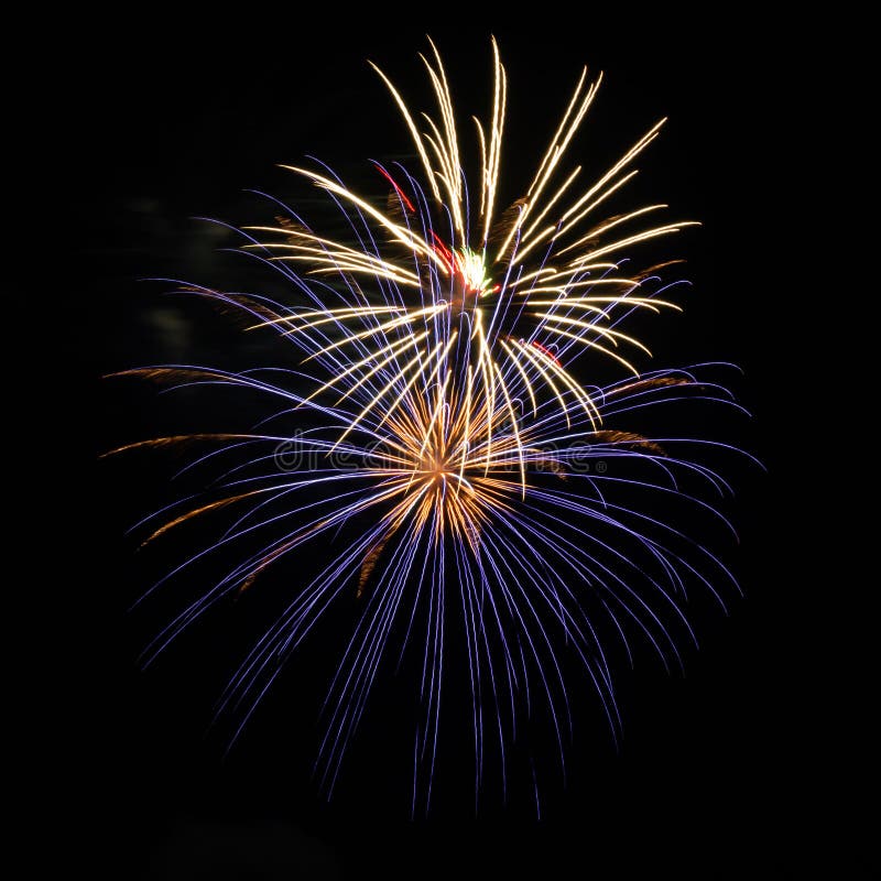 Purple, red, green, and gold fireworks explode during an Independence Day celebration in the United States.