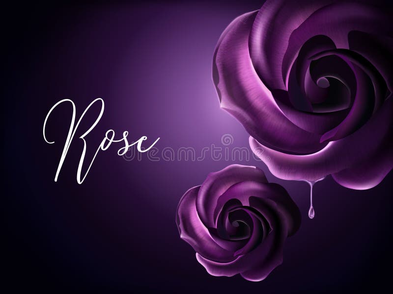 Purple roses elements