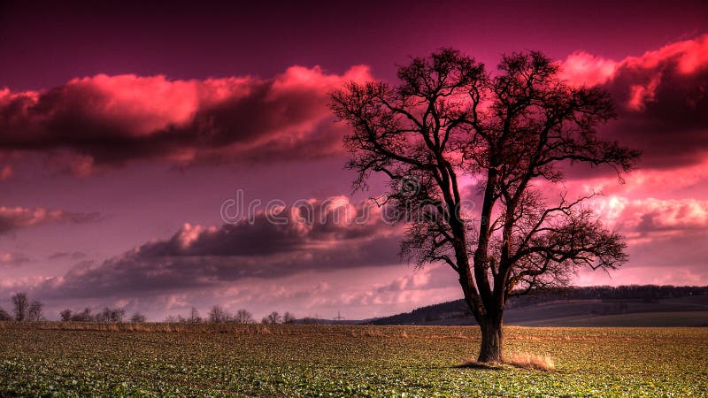 Purple sky stock photos Purple sky stock photos
