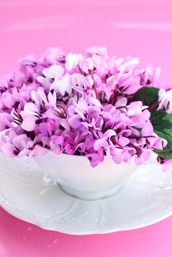 Purple spring flowers stock photo. Image of fresh, summer 18227398