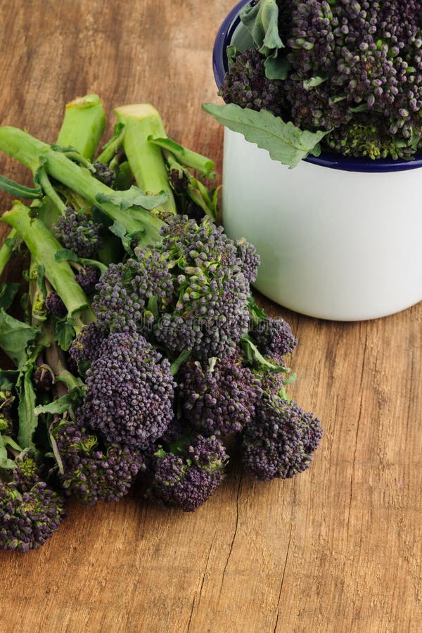 Purple sprouting broccoli stock image. Image of vegetable 147221131