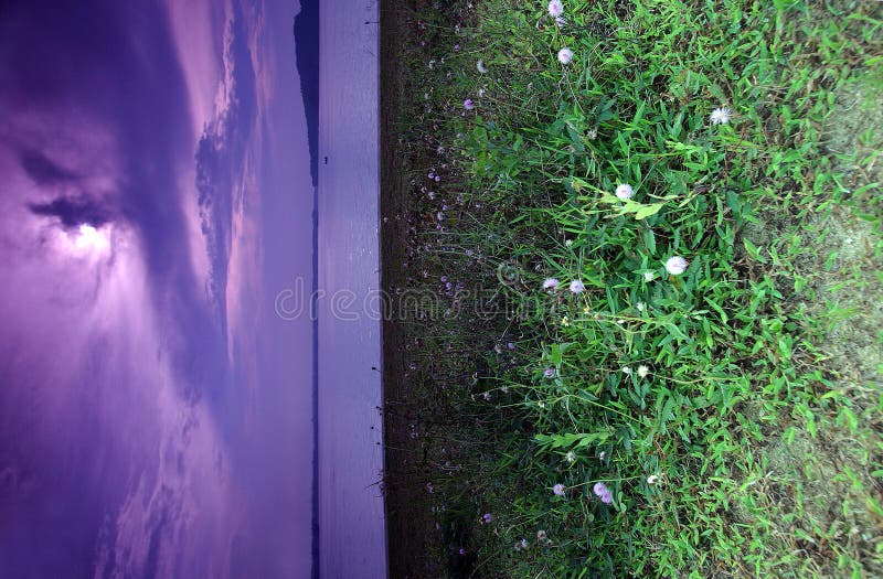 A tropical sunrise by the sea, rendered more dramatic with the use of a purple mauve graduated filter. With green grass full of dewdrops in the foreground, and silhouettes of islands on the horizon. Nice and peaceful in mood and atmosphere. Vertical format, nobody in picture. Empty. Serene beach atmosphere stock images, royalty-free photos and pictures