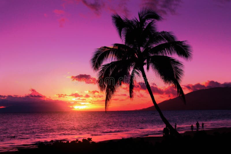 Purple sunset stock photo