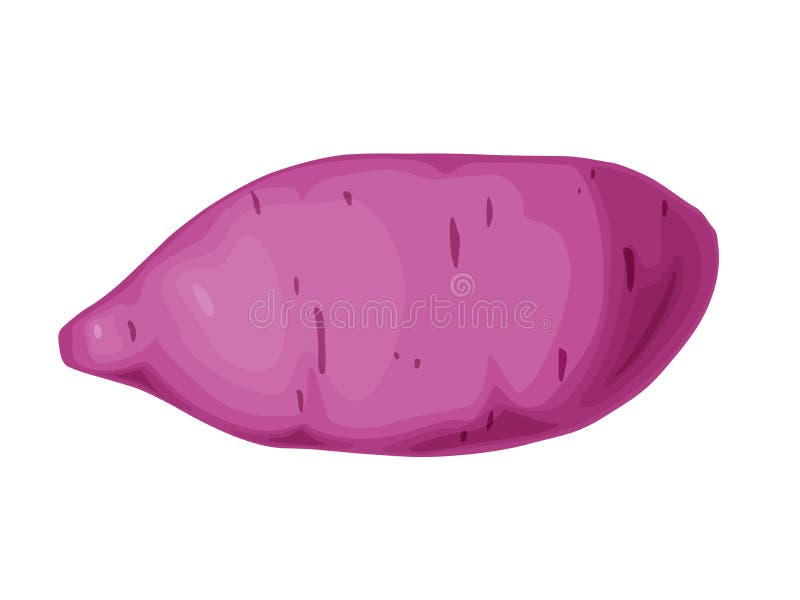 Purple Sweet Potato. Okinawa Yam Sweet Potato. Healthy Food Concept