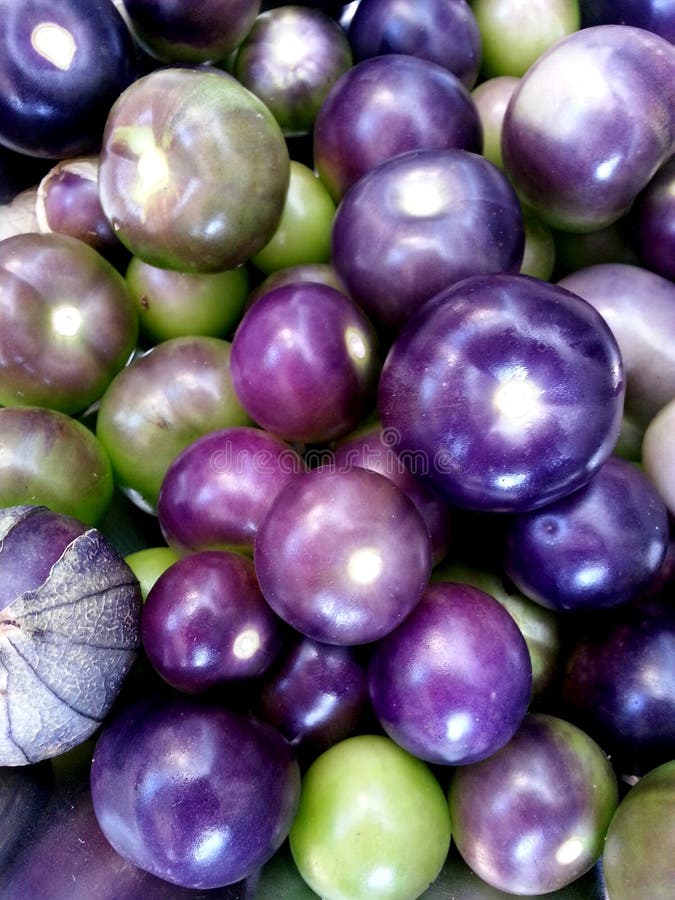 Purple Tomatillo