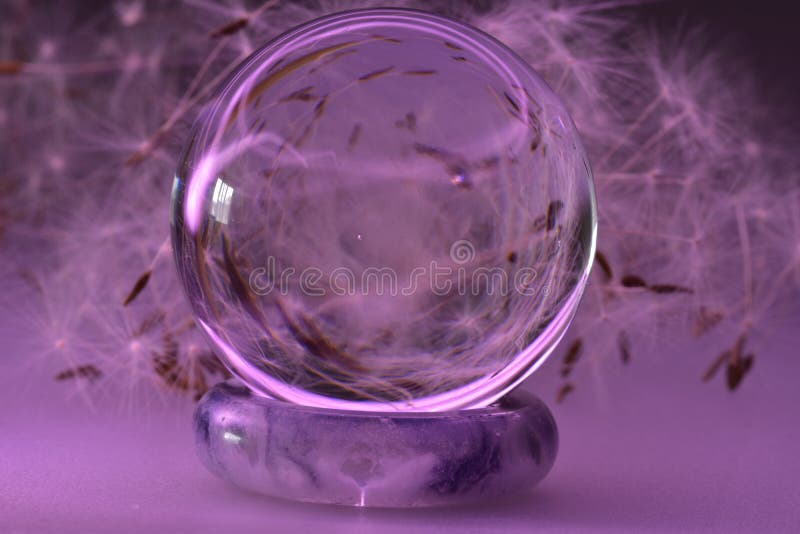 Purple Transparent Glass Ball Stock Photo Image of ball, clear 217657550