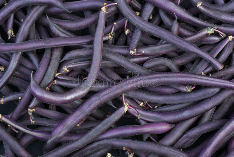 Purple Wax Snap Beans background