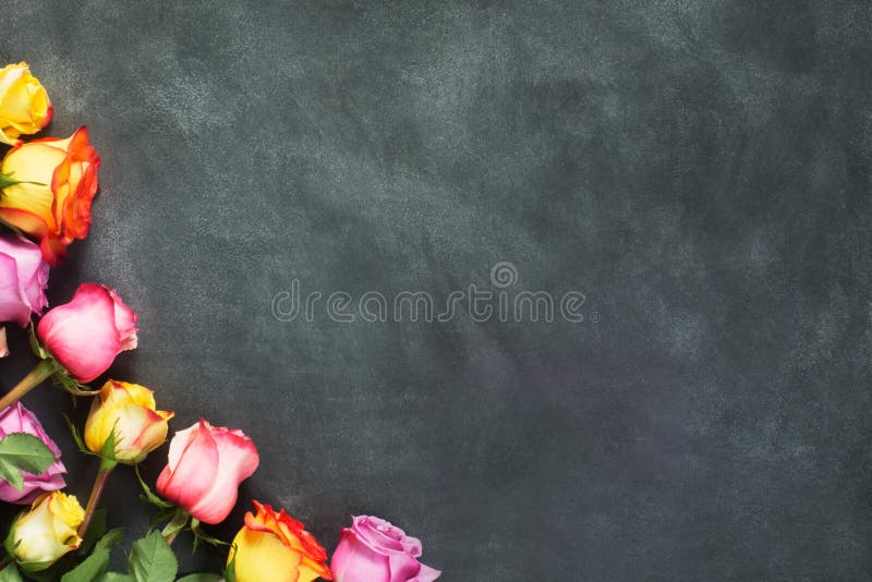 Purple and yellow roses, box present on black background