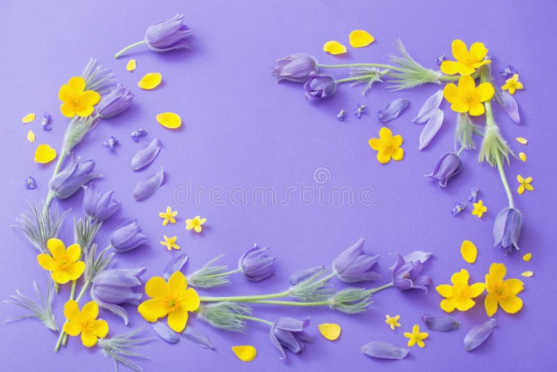 Hãy tận hưởng mùa xuân rực rỡ với những đóa hoa màu tím và vàng thu hút trên nền violet nổi bật. Một bức tranh tưng bừng màu sắc, lan tỏa sự ấm áp và hạnh phúc cho mỗi khán giả. Thưởng thức ngay hình ảnh liên quan để nhận được sức sống cho ngày mới.