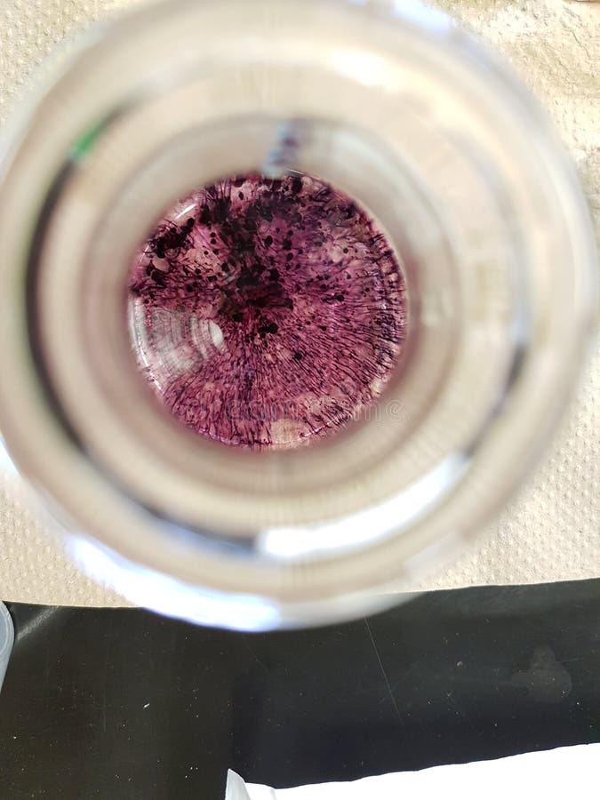 Chemistry Titration Colour Change in Erlenmeyer Flask Stock Photo