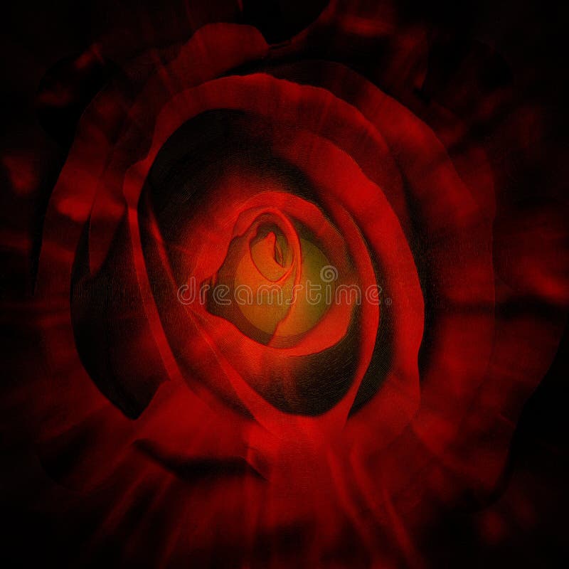 Purpur stieg vektor abbildung