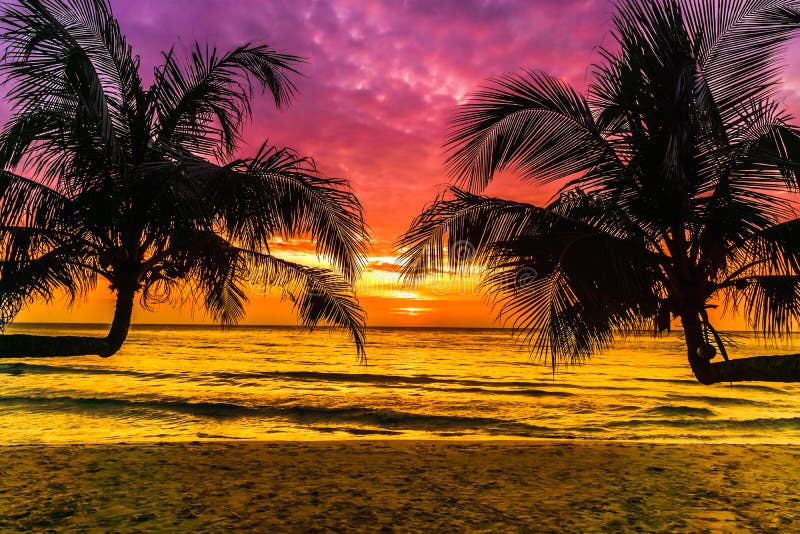 Purpurfärgad solnedgång på den tropiska stranden på den Koh Kood ön i Thailand