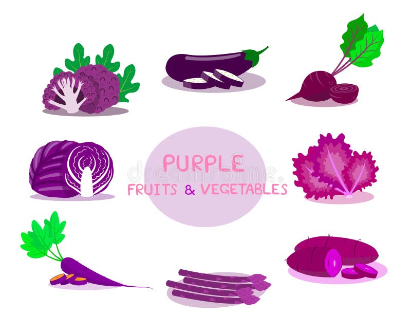 Purpurowi owoc i warzywo odizolowywający na białym tle ilustracja wektor Purpurowi owoc i warzywo odizolowywający na białym tle ilustracja wektor
