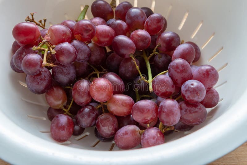 Purpurowi winogrona strzelający w górę naturalnego światła w zdjęcia stock Purpurowi winogrona strzelający w górę naturalnego światła w zdjęcia stock