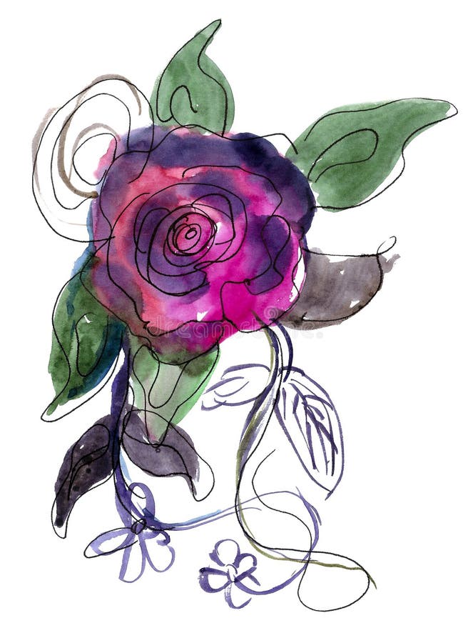 Purpurrote Rose gemalt im Aquarell lizenzfreie abbildung