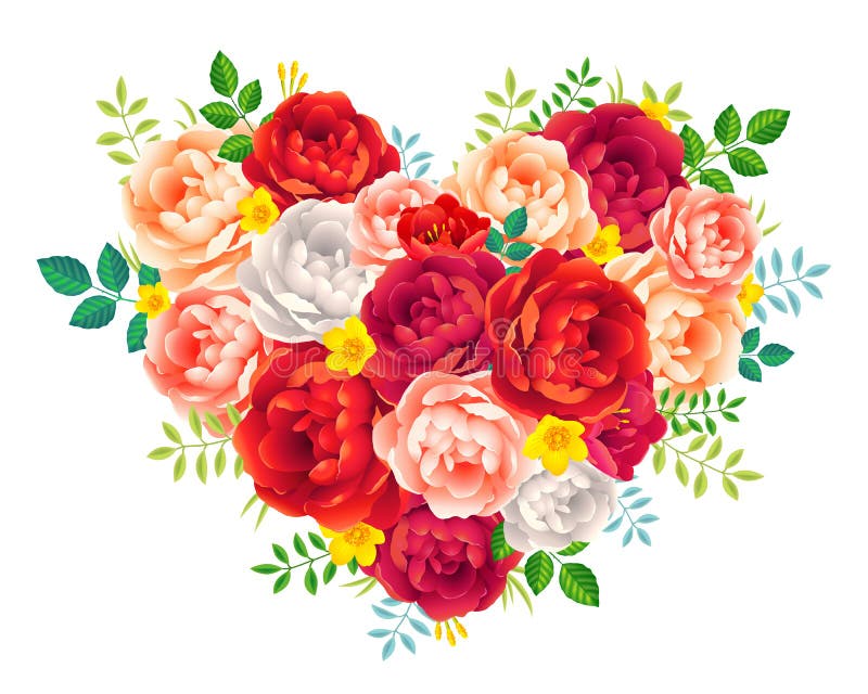 Purpurrote rote und rosa Pfingstrose blüht mit Blattvektor-Blumenherzen auf weißem Hintergrund vektor abbildung Purpurrote rote und rosa Pfingstrose blüht mit Blattvektor-Blumenherzen auf weißem Hintergrund vektor abbildung