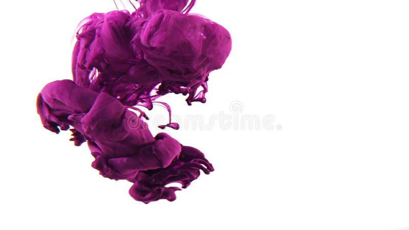 Purpurrote Tinte im Wasser lokalisiert auf weißem Hintergrund lizenzfreies stockfoto Purpurrote Tinte im Wasser lokalisiert auf weißem Hintergrund lizenzfreies stockfoto
