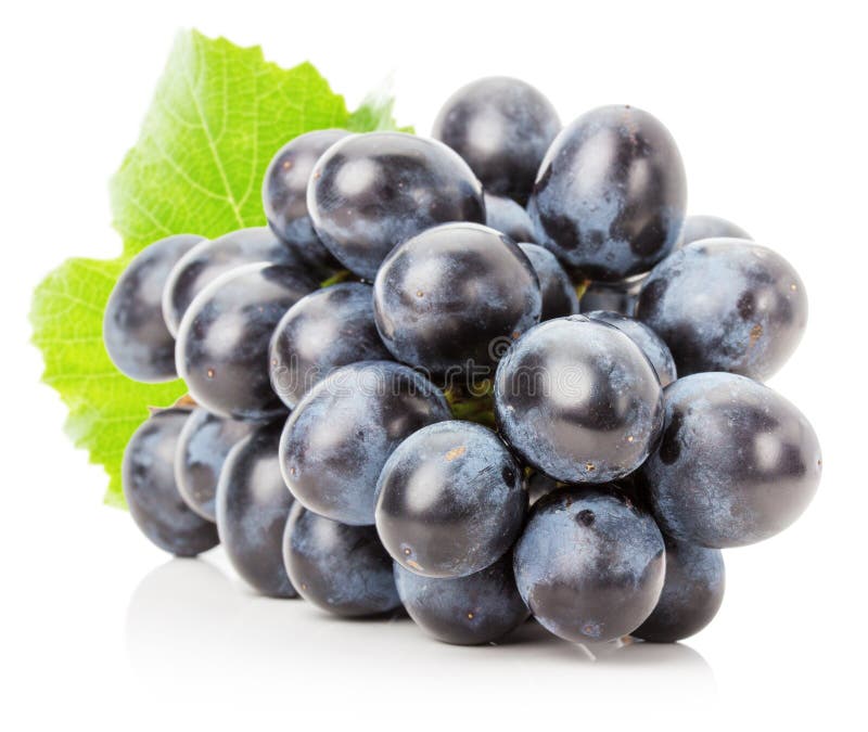 Purpurrote Traube lokalisiert auf dem weißen Hintergrund lizenzfreie stockfotografie Purpurrote Traube lokalisiert auf dem weißen Hintergrund lizenzfreie stockfotografie