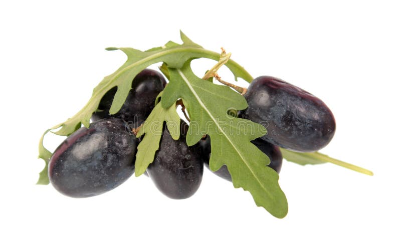 Purpurrote Traubenbeeren und frische grüne Blätter von Arugula Rucola oder von Rocket-Salat lokalisiert auf weißem Hintergrund stockfotos