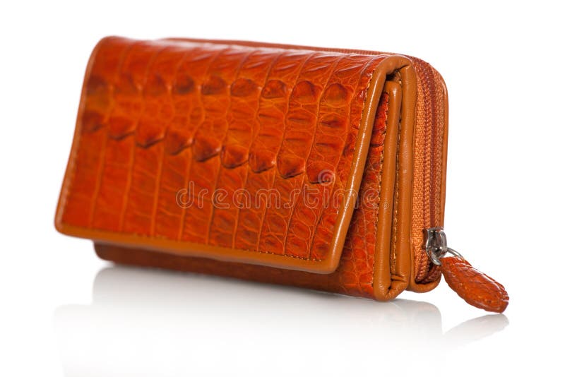 Louis Vuitton Coin Purse editorial stock photo. Image of item - 18821373