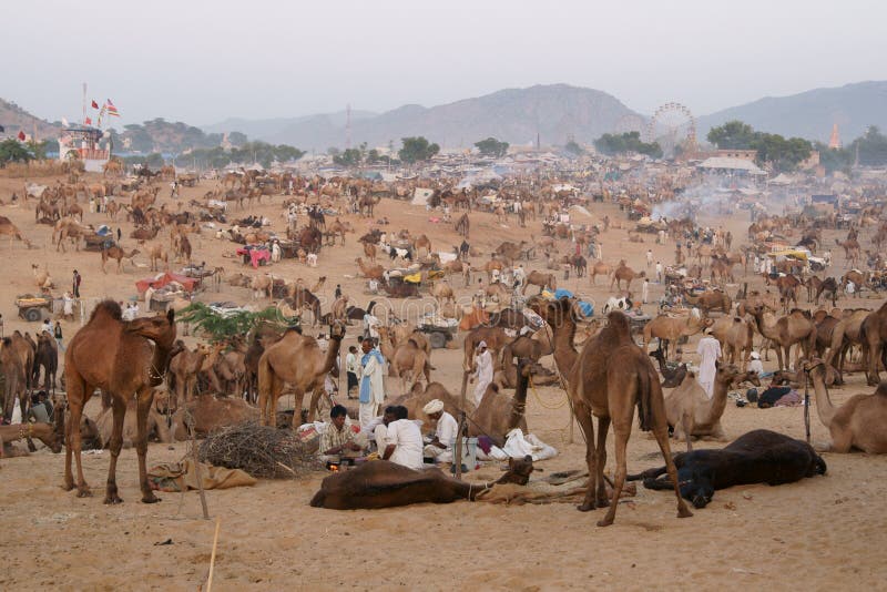 Pushkar Camel Fair