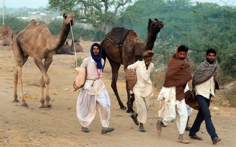 Pushkar Camel Fair in India Editorial Photography - Image of international, indian: 163370612 Pushkar Camel Fair in India Editorial Photography - Image of international, indian: 163370612