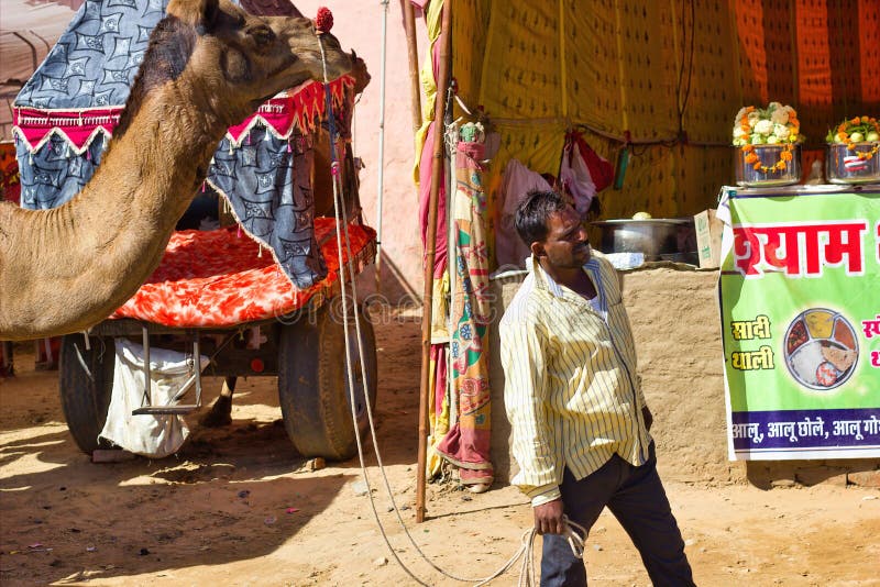 Pushkar, India: a Man Walking His Camel in Famous Pushkar or Kartik Fair.  India`s Largest Camel, Horse and Editorial Photography - Image of human,  activity: 220871212